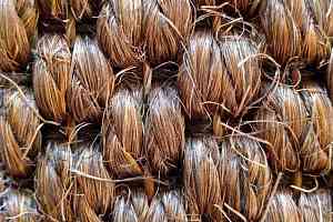 Циновки Циновка Vera Cruz 8977 фото  | FLOORDEALER