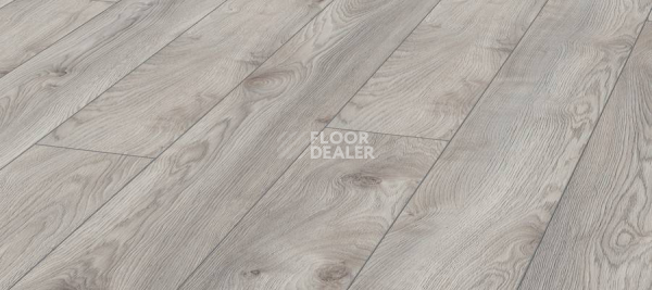 Ламинат Kronotex Mammut d4793 Дуб Белый Макро фото 1 | FLOORDEALER
