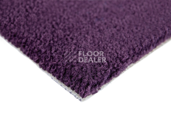 Balsan Les Best S 899 фото 4 | FLOORDEALER