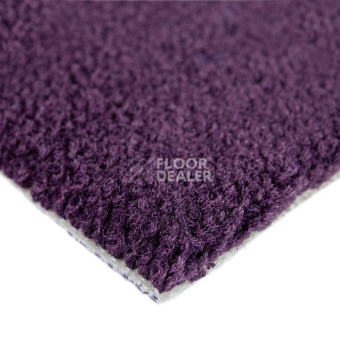 Balsan Les Best S 899 фото 4 | FLOORDEALER
