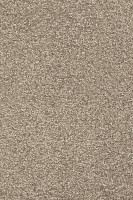 Ковролин AW Invictus Romelus 35 фото 1 | FLOORDEALER