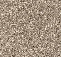 Ковролин AW Invictus Romelus 35 фото 1 | FLOORDEALER