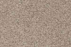 Ковролин AW Invictus Romelus 35 фото  | FLOORDEALER