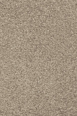 Ковролин AW Invictus Romelus 35 фото 1 | FLOORDEALER