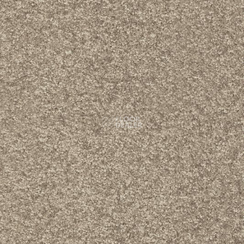 Ковролин AW Invictus Romelus 35 фото 1 | FLOORDEALER