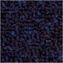 Ковровая плитка Tecsom 2050 u 348  | FLOORDEALER