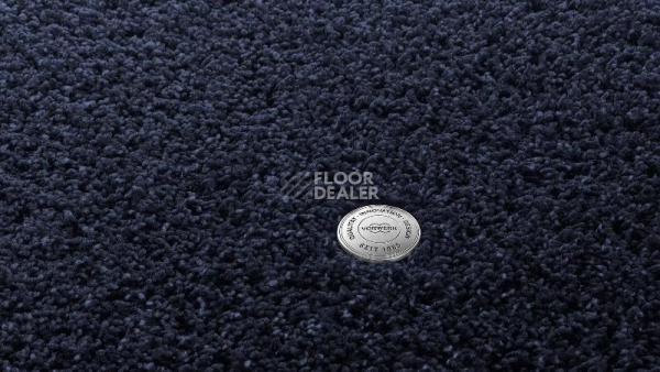 Ковролин Vorwerk Superior 1041 Vorwerk 3q43 фото 1 | FLOORDEALER