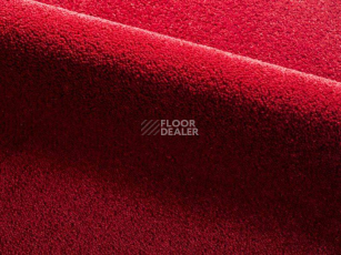 Ковролин Radici Dolce Vita 9816 фото 1 | FLOORDEALER