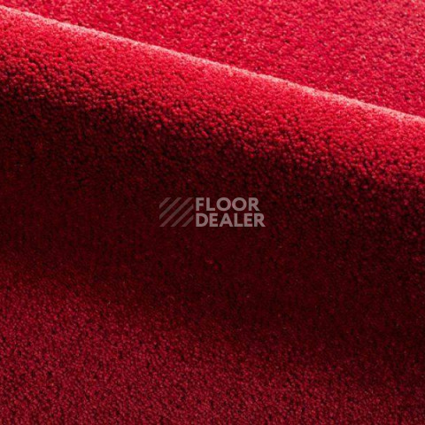Ковролин Radici Dolce Vita 9816 фото 1 | FLOORDEALER