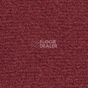 Ковролин Balsan Acadie DD Acadie 590 фото 1 | FLOORDEALER