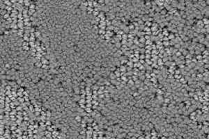 Ковролин Balsan Grand Hotel Cannes 920 фото  | FLOORDEALER