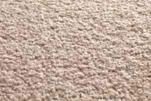 Ковролин Jacaranda Carpets Tapanui Shell фото  | FLOORDEALER