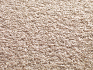 Jacaranda Carpets Tapanui Shell фото 1 | FLOORDEALER