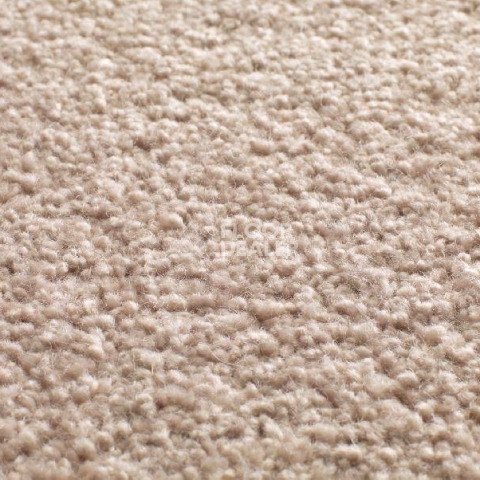 Ковролин Jacaranda Carpets Tapanui Shell фото 1 | FLOORDEALER