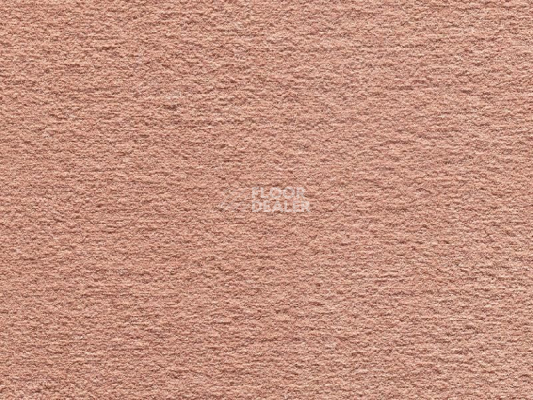 Ковролин Audrey 041  Audrey фото 1 | FLOORDEALER