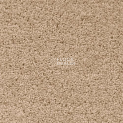 Ковролин Creatuft Ceres 3764 Marone фото 1 | FLOORDEALER