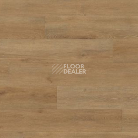Ламинат Haro Tritty 100 4V ДУБ ВЕНЕТО НАТУР 541478 фото 1 | FLOORDEALER