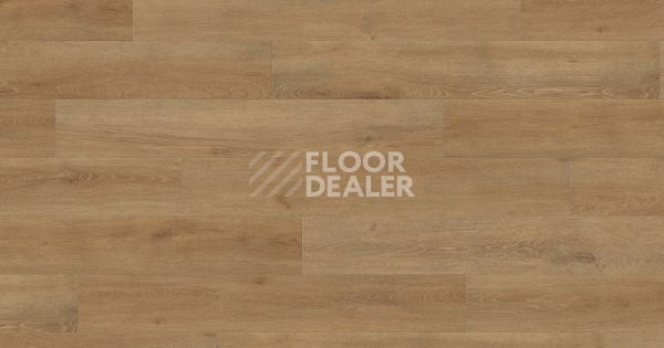 Ламинат Haro Tritty 100 4V ДУБ ВЕНЕТО НАТУР 541478 фото 1 | FLOORDEALER