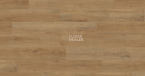 Ламинат Haro Tritty 100 4V ДУБ ВЕНЕТО НАТУР 541478 фото 1 | FLOORDEALER