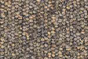 Ковролин Balsan Centaure 2000 Centaure 775 фото  | FLOORDEALER