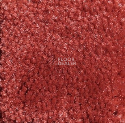 Ковролин Big Caresse 990 фото 1 | FLOORDEALER