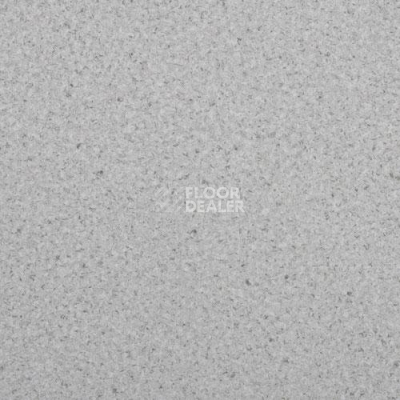 Линолеум Lg Durable DU90004 фото 1 | FLOORDEALER