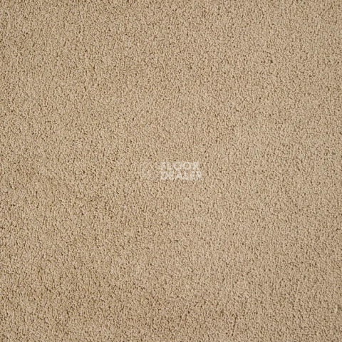 Haima Noble 41 фото 19 | FLOORDEALER