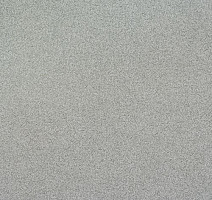 Линолеум Lg Bright BR92401-01 фото 1 | FLOORDEALER