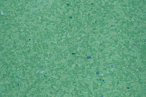 Линолеум Polyflor Mystique Pur 3620 фото  | FLOORDEALER