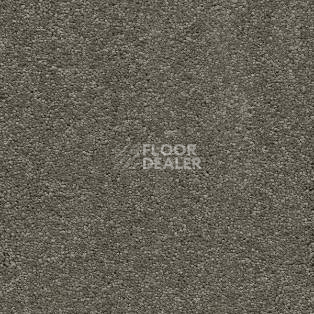 Ковролин AW VivendiI Aaura 29 фото 1 | FLOORDEALER