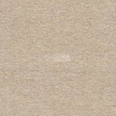 Ковролин AW Sauvage 33 фото 1 | FLOORDEALER