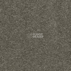 Ковролин AW VivendiI Aaura 29 фото 1 | FLOORDEALER