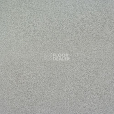 Линолеум Lg Bright BR92401-01 фото 1 | FLOORDEALER