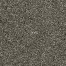 AW VivendiI Aaura 29 фото 1 | FLOORDEALER