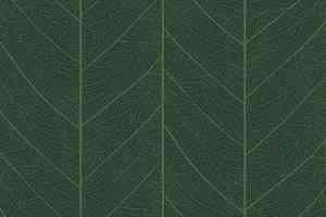 Ковролин Ege Highline Nature rf 52202912 фото  | FLOORDEALER