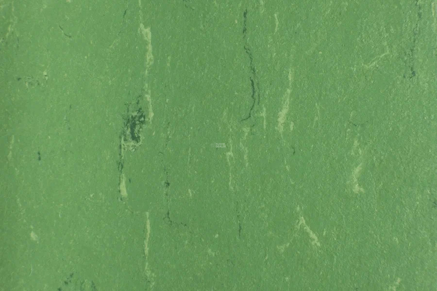 Forbo Marmoleum Solid Piano 3647-364735 nettle green фото 2 | FLOORDEALER