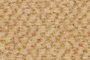 Ковролин Balsan Carrousel Carrousel 310 фото  | FLOORDEALER