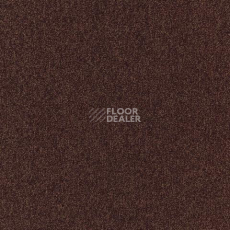 Ковролин Spark W2W 313 Spark w2w фото 1 | FLOORDEALER