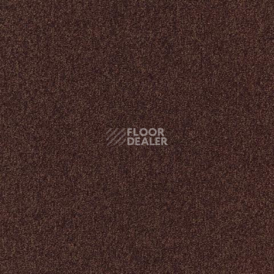 Ковролин Spark W2W 313 Spark w2w фото 1 | FLOORDEALER