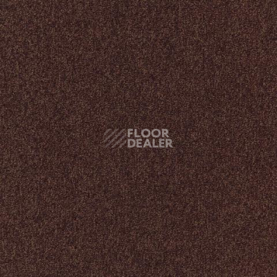 Ковролин Spark W2W 313 Spark w2w фото 1 | FLOORDEALER