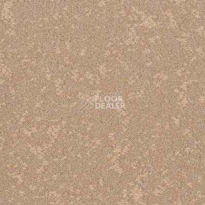 Ковровая плитка Desso Retrace ac 63 1510 фото 1 | FLOORDEALER