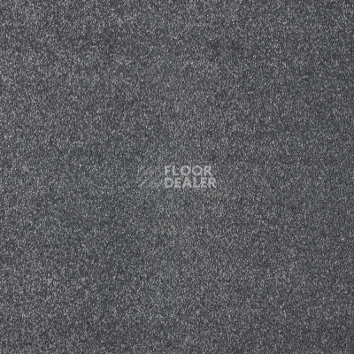 Ковролин AW Satisfaction 98 фото 1 | FLOORDEALER