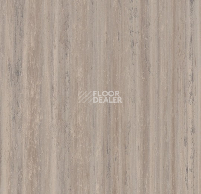 Линолеум Forbo Marmoleum Striato 3573 trace of nature фото 1 | FLOORDEALER