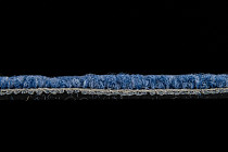 IVC Animate 574 фото 6 | FLOORDEALER