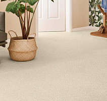 Vorwerk Superior 1071 Vorwerk 8k32 фото 2 | FLOORDEALER