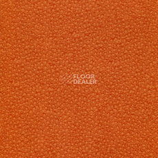 Линолеум Grabo Acoustic Pro 4276_465_4 фото 1 | FLOORDEALER