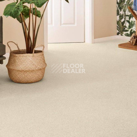 Vorwerk Superior 1071 Vorwerk 8k32 фото 2 | FLOORDEALER