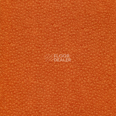 Линолеум Grabo Acoustic Pro 4276_465_4 фото 1 | FLOORDEALER