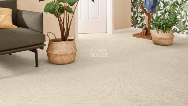Vorwerk Superior 1071 Vorwerk 8k32 фото 2 | FLOORDEALER