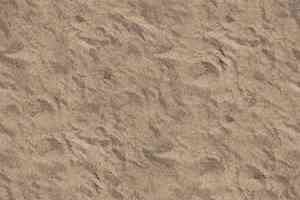 Ковролин Ege Highline Nature rf 52755476 фото  | FLOORDEALER